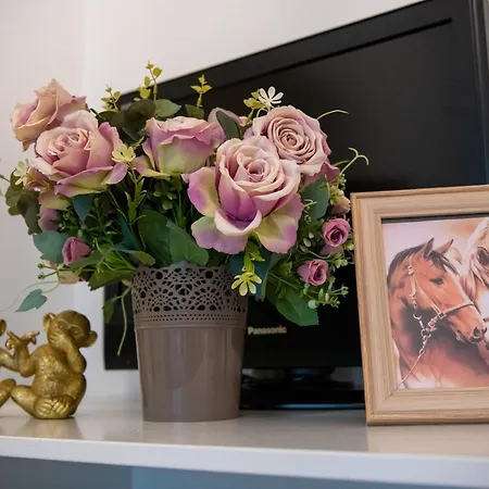 Tatil Evi Carska Oaza Lukino Selo